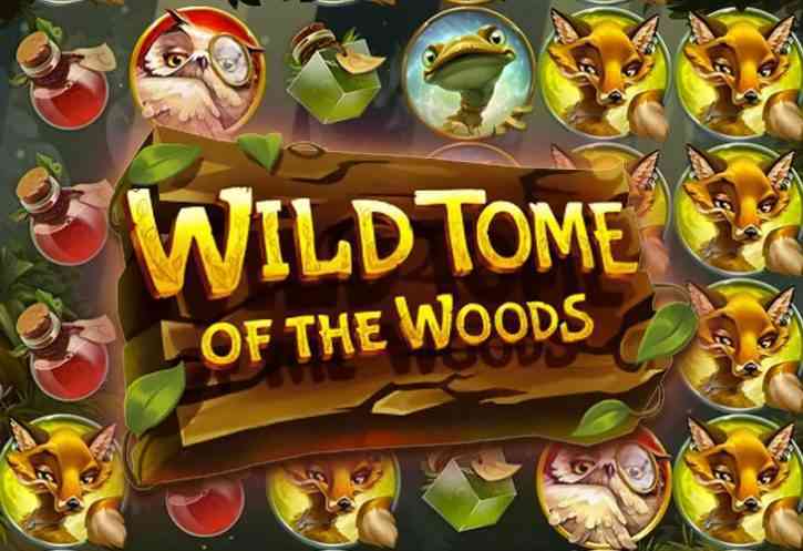 Бесплатный игровой автомат Wild Tome of the Wood