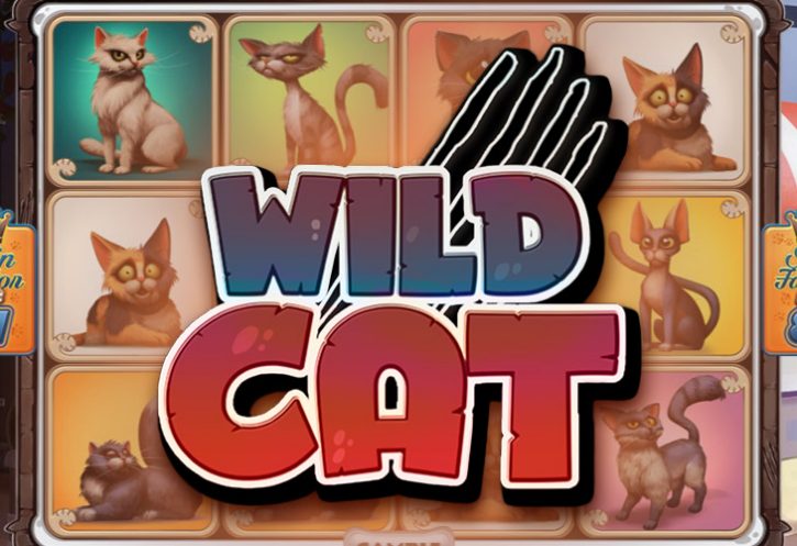 Бесплатный игровой автомат Wild Cat