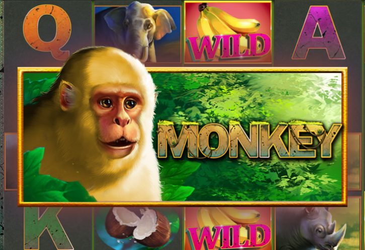 Бесплатный игровой автомат Monkey